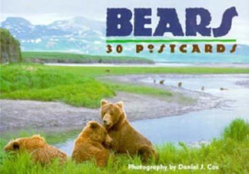 Card Book Bears Book
