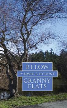 Paperback Below Granny Flats Book