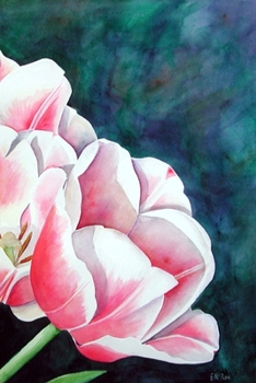 Paperback Pink Tulips: Journal Book