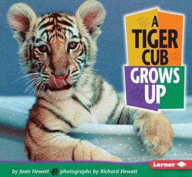 Paperback A Tiger Cub Grows Up Book