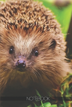 Paperback Notebook: Hedgehog portrait close up [110 pages]: Hedgehog portrait close up Book