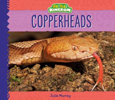 Copperheads - Book  of the Buddy Books