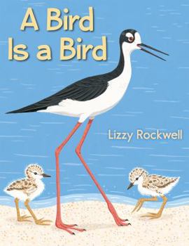 Hardcover A Bird Is a Bird Book