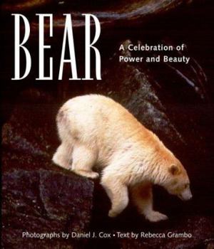 Hardcover Bear: A Celebration of Power and Beauty Book
