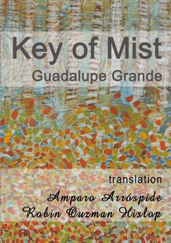 Paperback Key of Mist Book