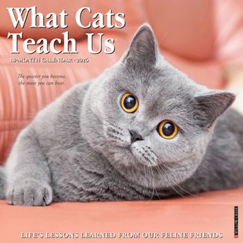 Calendar What Cats Teach Us 2026 Wall Calendar Book