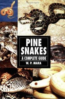 Paperback Pine Snakes: A Complete Guide Book