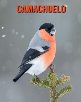 Camachuelo: Libro para ni�os con im�genes hermosas y datos interesantes sobre los Camachuelo