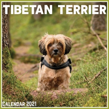Paperback Tibetan Terrier Calendar 2021: Official Tibetan Terrier Calendar 2021, 12 Months Book