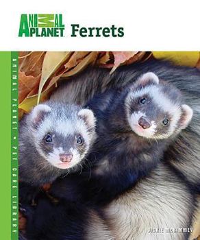 Ferrets - Book  of the Animal Planet Pet Care Library