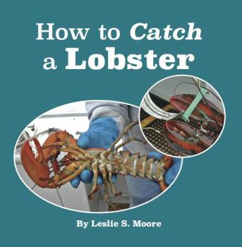 Paperback How to Catch a Lobster Book