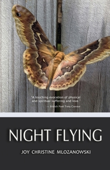 Paperback Night Flying Book