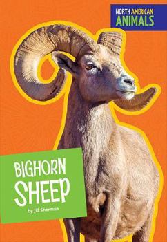 Library Binding Bighorn Sheep Book