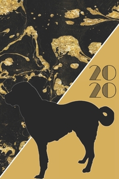 2020: 2020 Sunday Start Monthly Calendar and Organizer | Beagle Hybrid Dog Gift for Women
