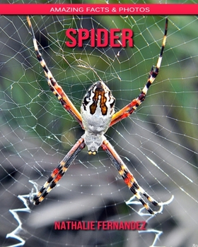 Spider: Amazing Facts & Photos