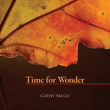 Paperback Time for Wonder Book