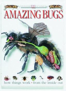 Hardcover Amazing Bugs Book