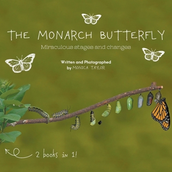 Paperback The Monarch Butterfly and The Cecropia Moth: Miraculous Stages and Changes Book