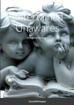 Paperback Entertained Unawares: Visitations by Angels Book