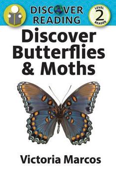 Paperback Discover Butterflies & Moths Book