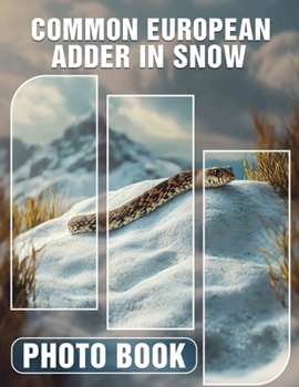 Common European Adder In Snow Photo Book: 40 Stunning Images Capturing The Beauty Of Europe’s Iconic Snake In Winter Settings