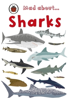 Hardcover Mad about Sharks Book