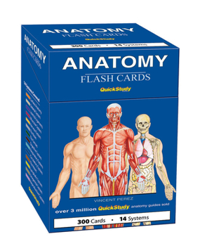 Anatomy Flash Cards: A Quickstudy Reference Tool