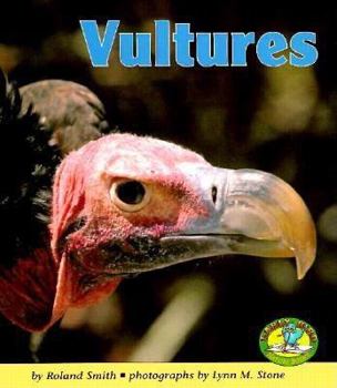 Hardcover Vultures Book