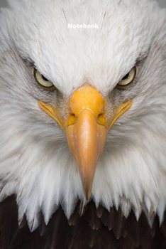 Paperback Notebook: Eagle - 100 pages - 6x9 inch - Composition Book with line and margin - Journal, Log Book, Diary, Creative Writing, Sch [French] Book