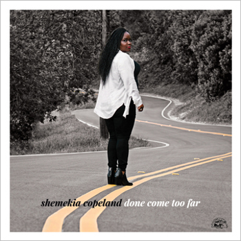Vinyl Done Come Too Far Book