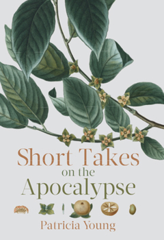 Paperback Short Takes on the Apocalypse Book
