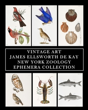 Vintage Art: James Ellsworth De Kay: New York Zoology: Ephemera Collection