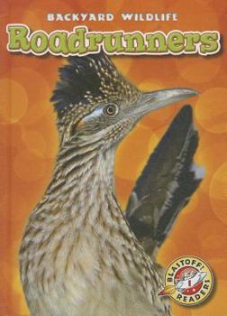 Roadrunners - Book  of the Backyard Wildlife