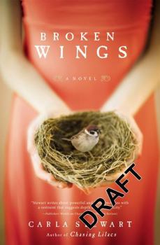 Paperback Broken Wings Book