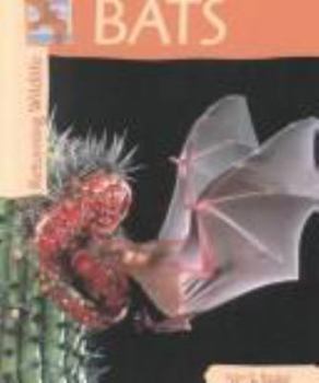 Hardcover Returning Wildlife: Bats Book