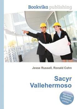 Paperback Sacyr Vallehermoso Book