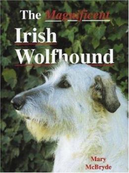 Hardcover The Magnificent Irish Wolfhound (A Ringpress Dog Book of Distinction) Book