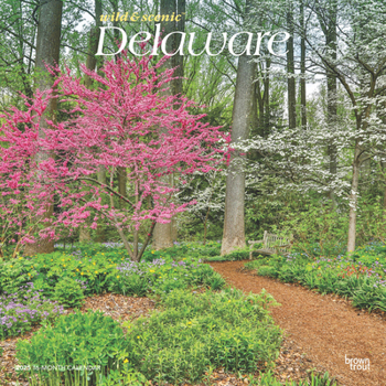 Calendar Delaware Wild & Scenic 2025 12 X 24 Inch Monthly Square Wall Calendar Plastic-Free Book