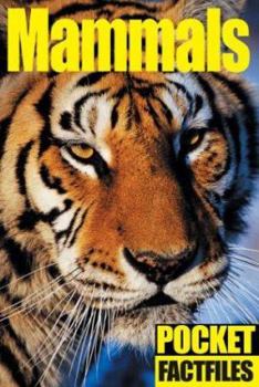 Hardcover Pocket Factfiles Mammals Book