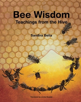 Paperback Bee Wisdom - Teachings from the Hive Book