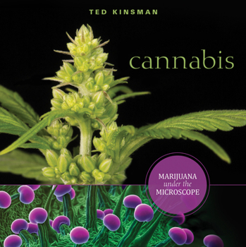 Paperback Cannabis: Marijuana Under the Microscope Book