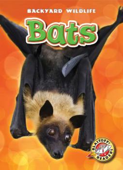 Bats - Book  of the Backyard Wildlife