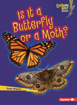 Is It a Butterfly or a Moth? (Lightning Bolt Books (R) -- Which Is It?)