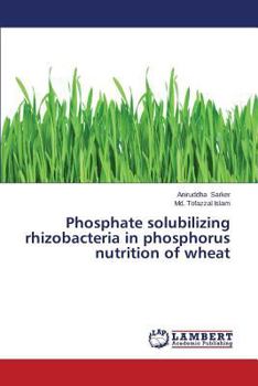 Paperback Phosphate Solubilizing Rhizobacteria in Phosphorus Nutrition of Wheat Book