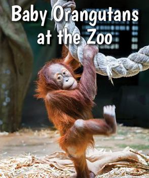 Library Binding Baby Orangutans at the Zoo Book