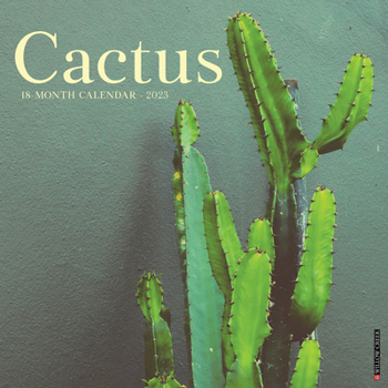 Calendar Cactus 2023 Wall Calendar Book