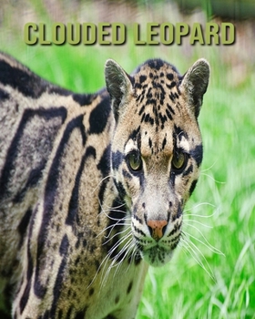Paperback Clouded Leopard: Fascinating Clouded Leopard for Kids with Stunning Pictures! Book
