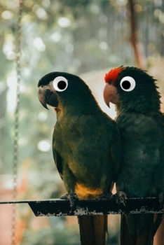 Googly Eye Parrot Journal: 100-page blank lined journal featuring a photo of green parrots with googly eyes