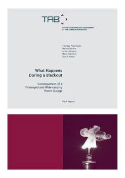 Paperback What Happens During a Blackout Book
