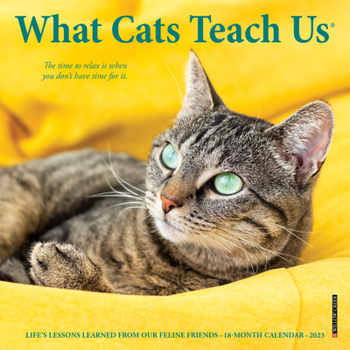 Calendar What Cats Teach Us 2023 Mini Wall Calendar Book